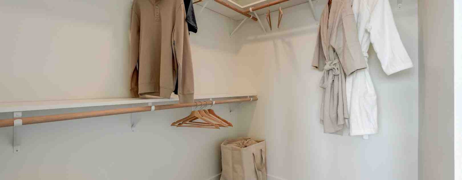 walk in closet - apartments with walk in closet