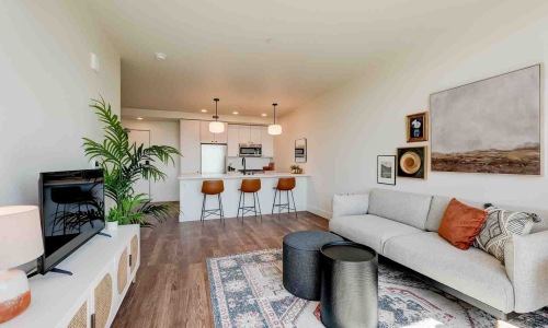 Modern floor plan design ideal for dog owners with open living space and soundproofing