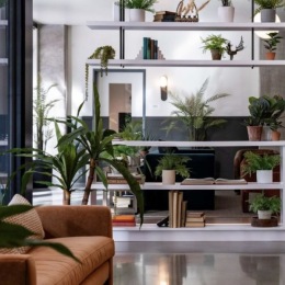 inside decor and greenery