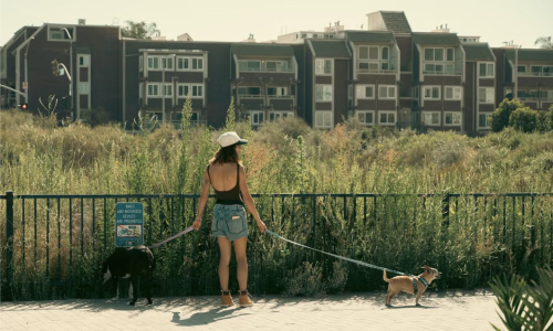 dog friendly apartments