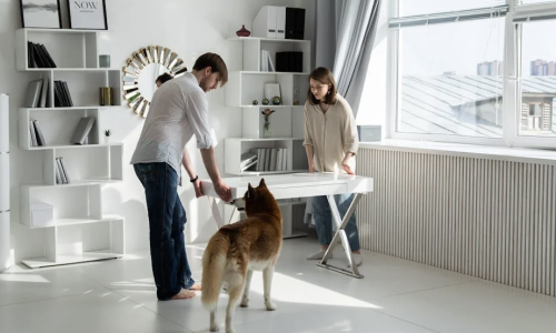 large dogs in apartment - Apartments allowing large dogs large dogs in apartment - Apartments allowing large dogs