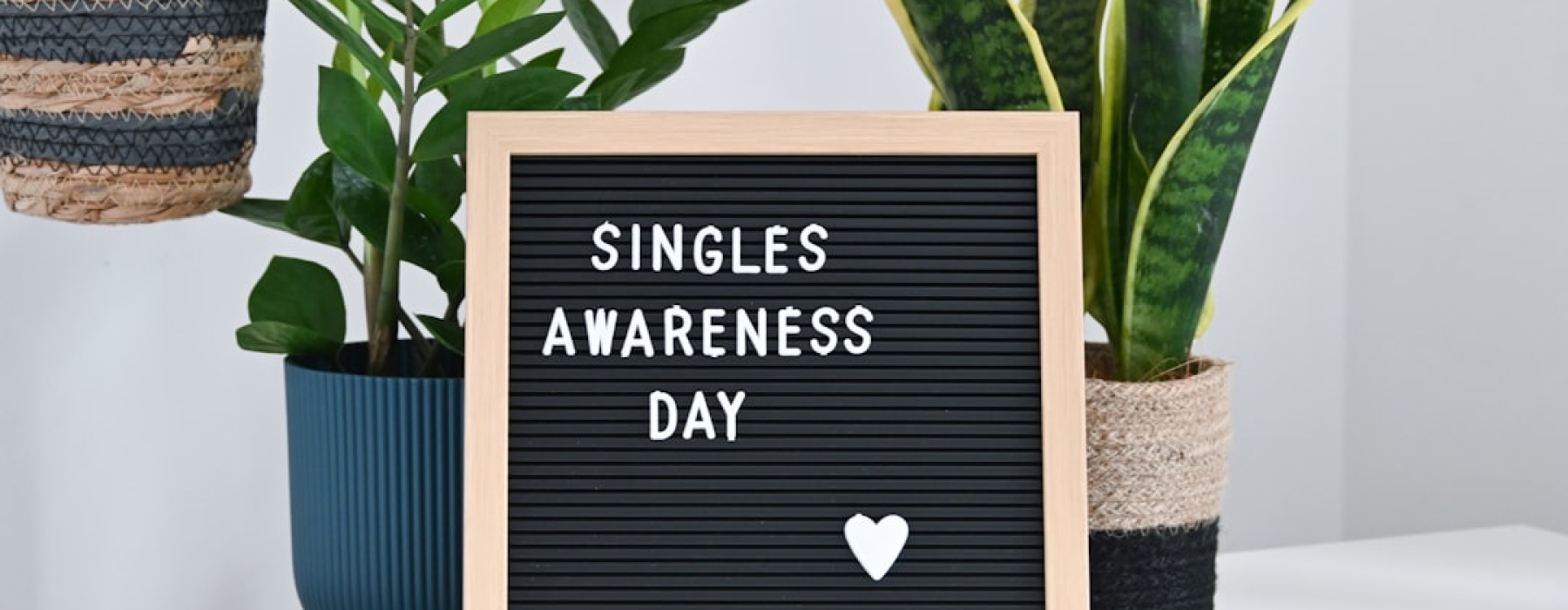 single bhk plan - single bhk plan