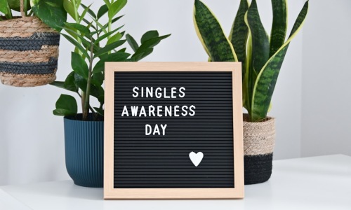 single bhk plan - single bhk plan