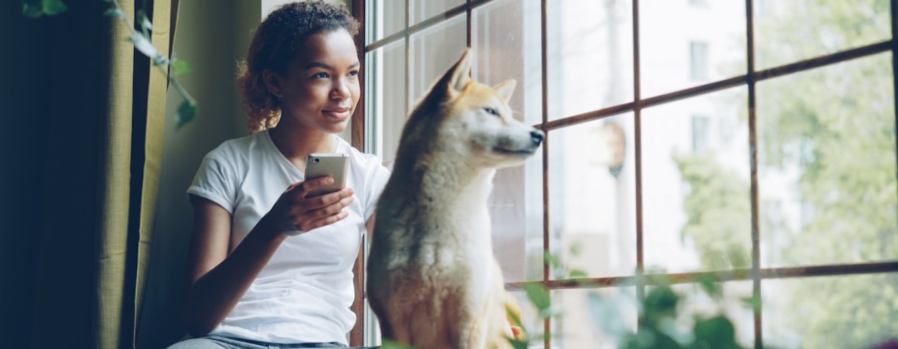 person searching apartments with dog